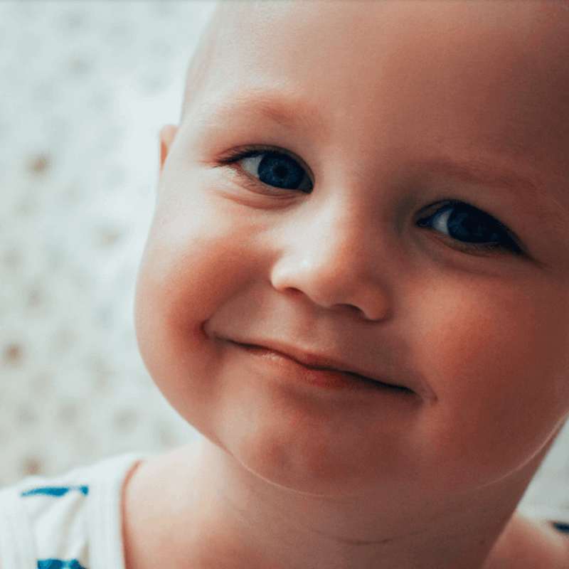 Webdesign Middenmeer, Project Direct, Timo van Tilburg, Snel een Webdesigner, WordPress website laten bouwen, WordPress Webdesign Hoorn, Webdesign Enkhuizen, Webdesign Purmerend, Webdesign Heerhugowaard, Webdesign Alkmaar, Webdesign Amsterdam, Webdesign Grootebroek, Webdesign Grootebroek, Webdesign Haarlem