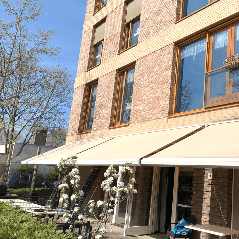 Webdesign Middenmeer, Webdesign Snel een webdesigner - Boost jouw Online Succes met onze Hulp