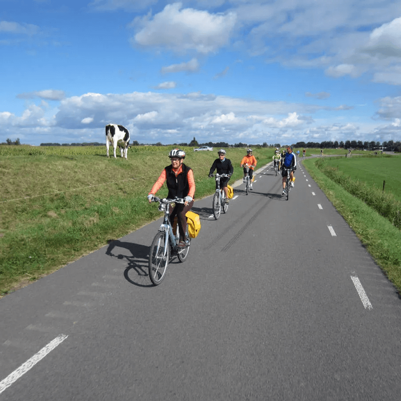 Webdesign Middenmeer, Webdesign Snel een webdesigner - Boost jouw Online Succes met onze Hulp