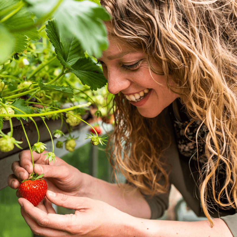 Webdesign Middenmeer, Webdesign Snel een webdesigner - Boost jouw Online Succes met onze Hulp