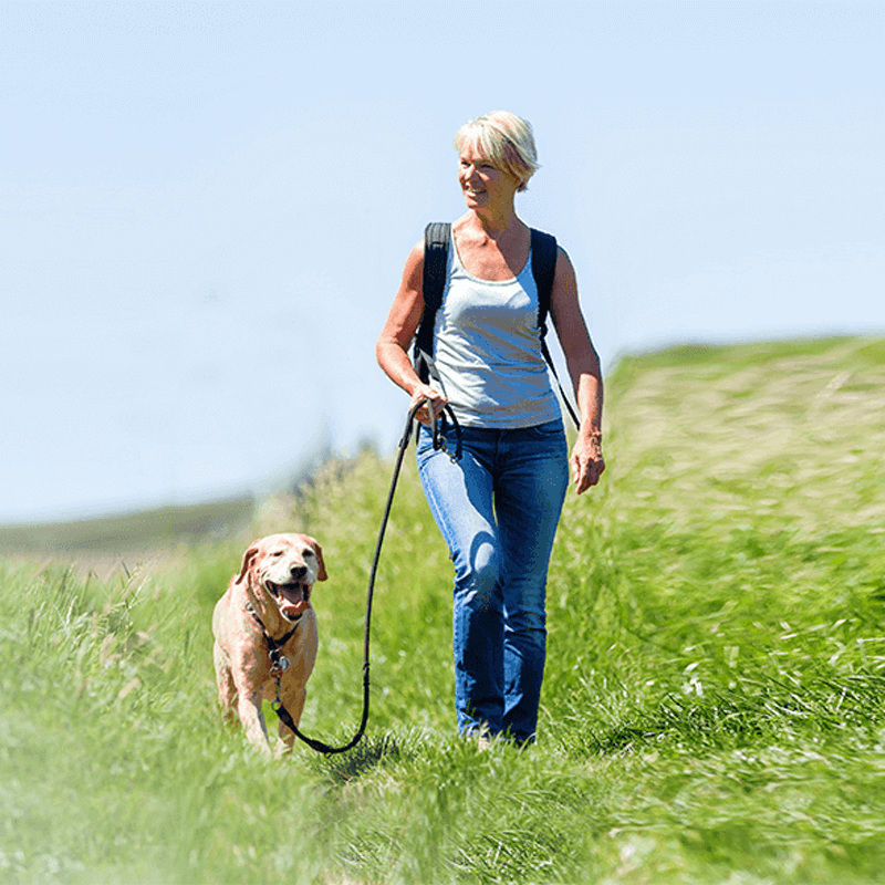 Webdesign Middenmeer, Webdesign Snel een webdesigner - Boost jouw Online Succes met onze Hulp